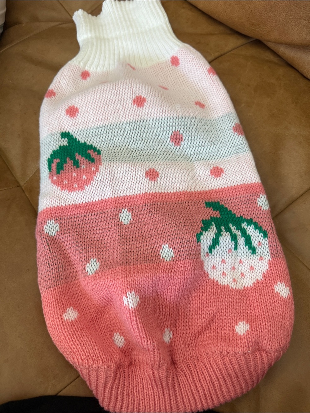 Strawberry Knit Pet Sweater in Pink & White